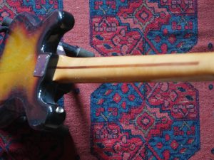 studiolaboiteameuh-basse-melody-vintage-5000