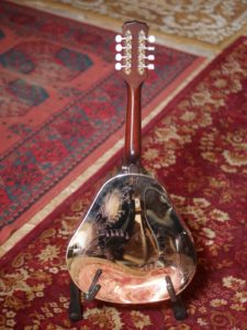 studio la boite à meuh - mandoline à résonateur recording king ra 998