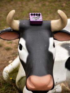 studio la boîte à meuh - EBS Billy Sheehan Drive