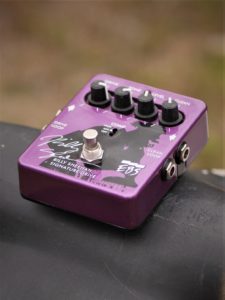 studio la boîte à meuh - EBS Billy Sheehan Drive