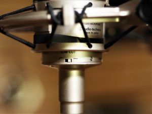 studio la boite a meuh - Audio-Technica 4047 sv