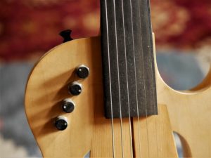 studio-la-boite-a-meuh-guitare-gougi-fretless