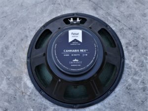 studio-la-boite-a-meuh-eminence-cannabis-rex-arriere