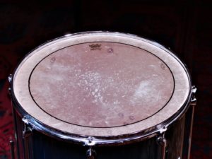 studio-la-boite-a-meuh-mapex-peau-tom-18