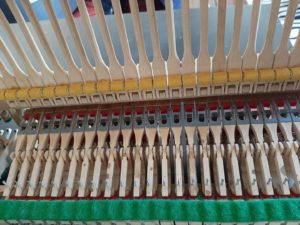 studio-la-boite-a-meuh-apres-changement-peaux-attrape