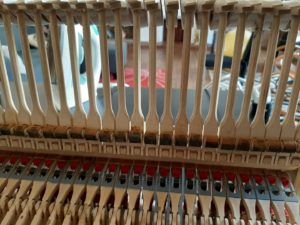 studio-la-boite-a-meuh-avant-changement-peaux-attrape