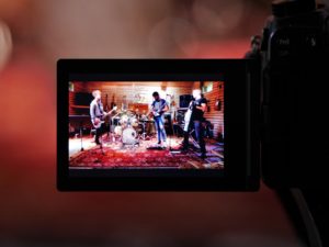 studio-la-boite-a-meuh-unleashed-the-tapir-26