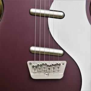 studio-la-boite-a-meuh-danelectro-59-micros