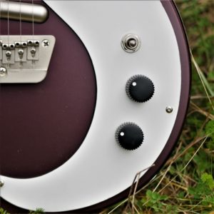 studio-la-boite-a-meuh-danelectro59-potars