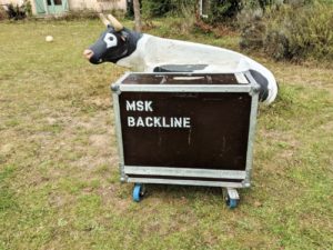 studio-la-boite-a-meuh-flight-case-fender-65-twin-reverb