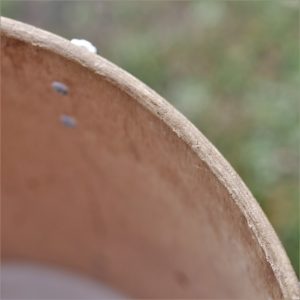 studio-la-boite-a-meuh-japson-riviera-fut-luan