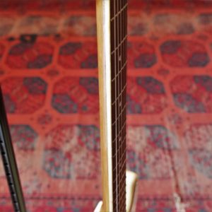 studio-la-boite-a-meuh-randall-telecaster-manche