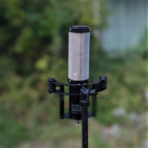 studio-la-boite-a-meuh-sontronics-apollo-2-derriere