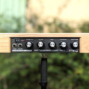 studio-la-boite-a-meuh-theremine