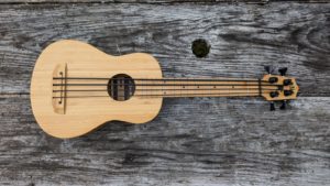 studio-la-boite-a-meuh-kala-u-bass-bamboo