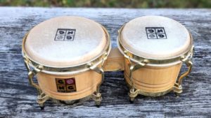 studio-la-boite-a-meuh-bongo-gng